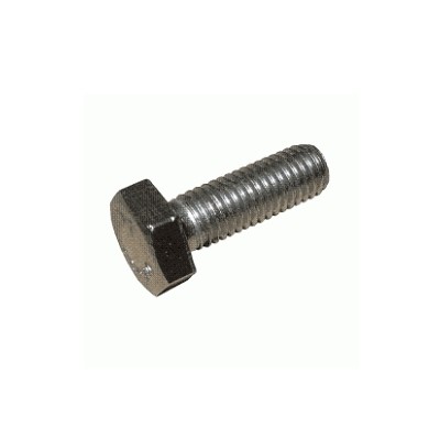 Stainless-steel screw M10 x 25 mm